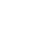 saltedvinesiconwebsite