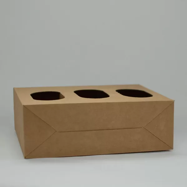 Shine Bottle Carrier | 3 Bottle - Image 4