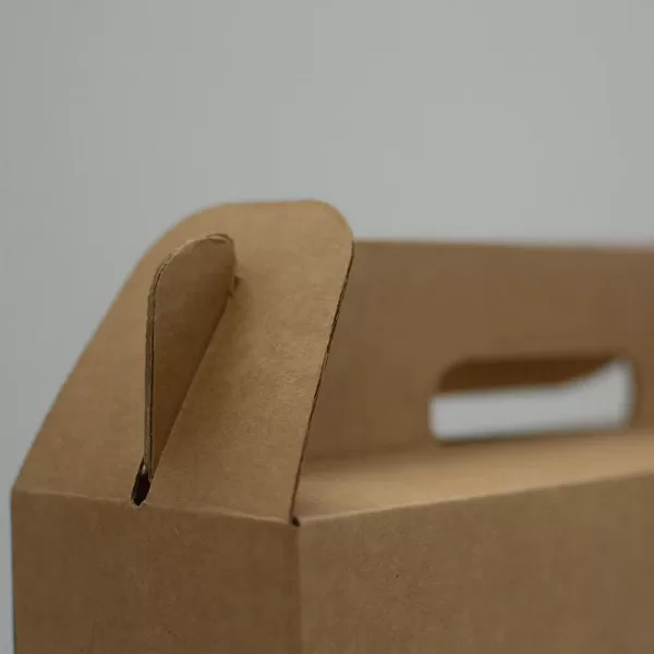 Shine Bottle Carrier | 3 Bottle - Image 6