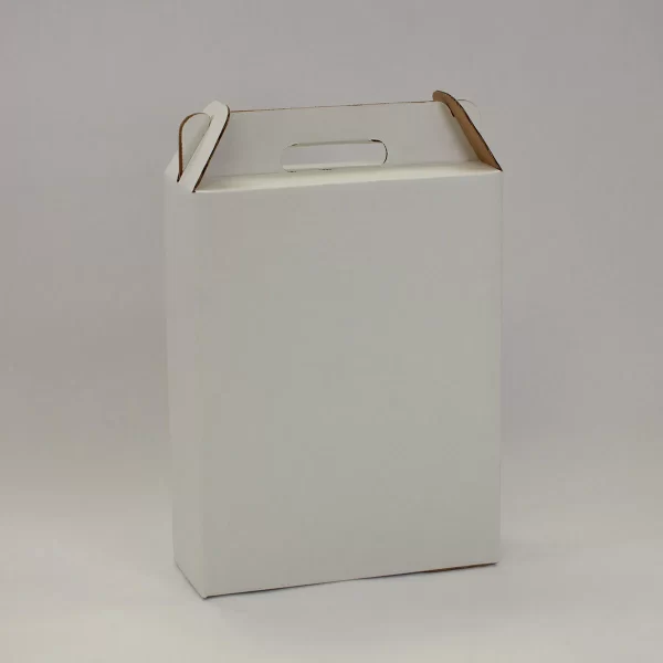 3 bottle Carrier (no windows) - Image 3