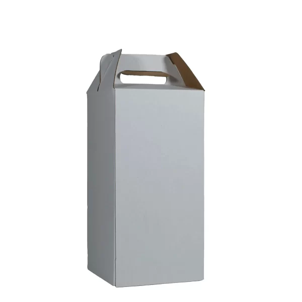 4 bottle carrier (no windows) v.1