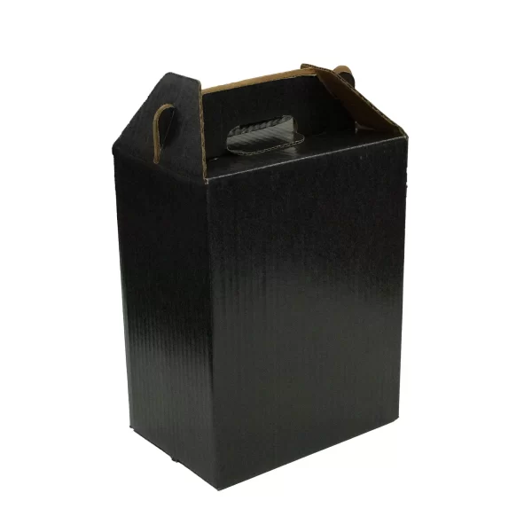 6 bottle | Carrier | Black | 750 mL
