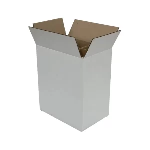 6 Bottle | Repack | White 12"H