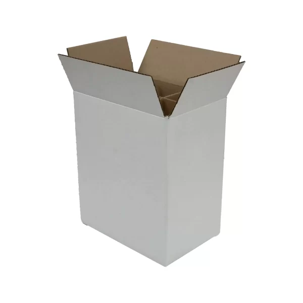 6 Bottle | Repack | White 12"H